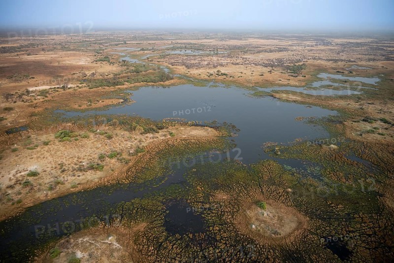 Wetland, landscape, aerial view of the Okavango Delta, near Maun, Okavango Delta, Botswana
