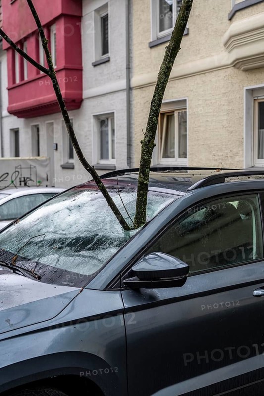 North Rhine-Westphalia, Germany, storm damage, a good 4 metre long branch was broken off by the storm during storm Zoltan and smashed through the windscreen of a parked vehicle, Essen
