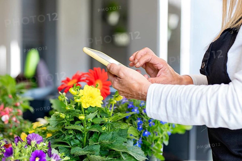 A gardener wearing an apron uses a smartphone amid vibrant flowers. The colorful blooms include gerbera daisies and pansies, creating a lively and creative work environment