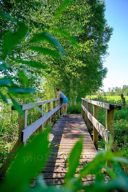 Am Torfwerk, Pfrunger-Burgweiler Ried nature reserve, Wilhelmsdorf, Baden-Württemberg, Germany