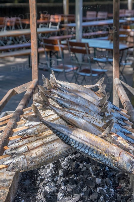 Fish on the charcoal grill, Bavaria, Germany