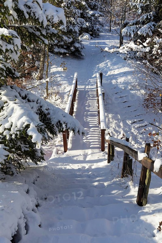 Snow-covered wooden bridge in a winter forest, spoil heap from the former Deutschlandschacht near Oelsnitz in the Ore Mountains, Saxony, Germany