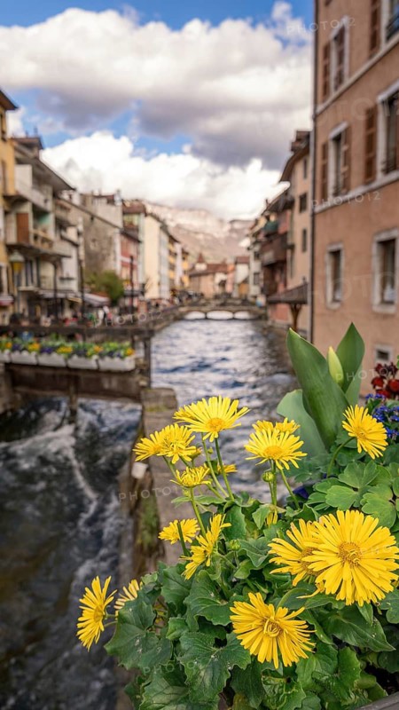 A charming scene along a canal in Annecy, France, featuring cheerful yellow flowers in the foreground and traditional houses lining the tranquil water