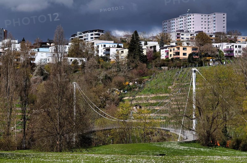 Max-Eyth-Steg, also Golden-Gatele, footbridge over Neckar, Max-Eyth-See, Hofen, behind Freiberg near Stuttgart, Baden-Württemberg, Germany