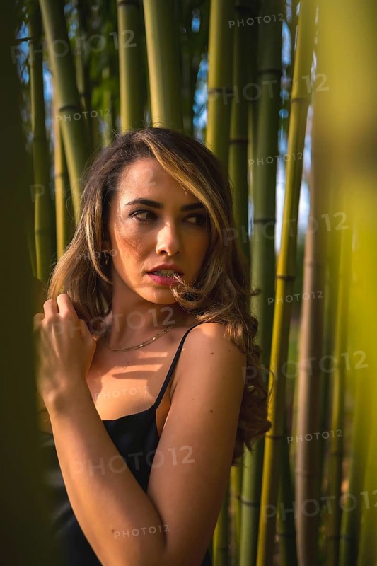 Portrait of a Caucasian girl in a black dress in a bamboo forest