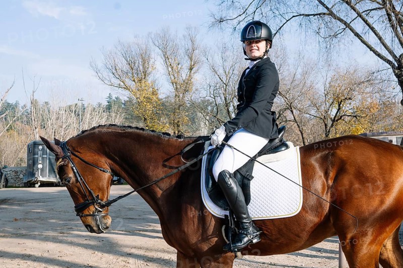 A teenage girl in classical dressage attire confidently rides a brown horse. She wears a formal black riding jacket, white breeches, and black boots, complemented by a protective helmet