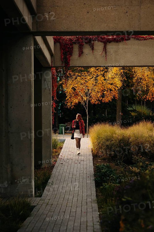A person walks on a path in Montreal surrounded by vibrant fall foliage. The scene captures the essence of autumn with orange and red leaves against concrete architecture