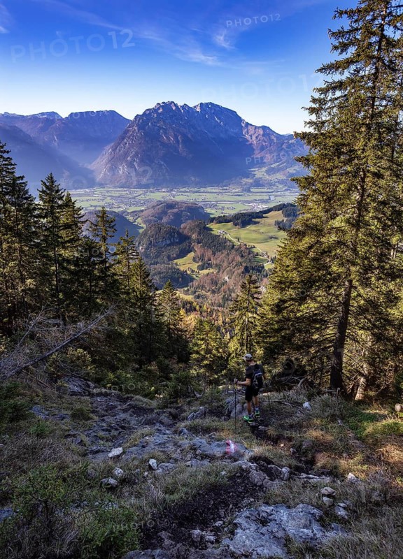 Hiking trail to the Schwarzer Berg with a view of the Hoher Göll, Golling, Osterhorngruppe, Salzburg province, Austria