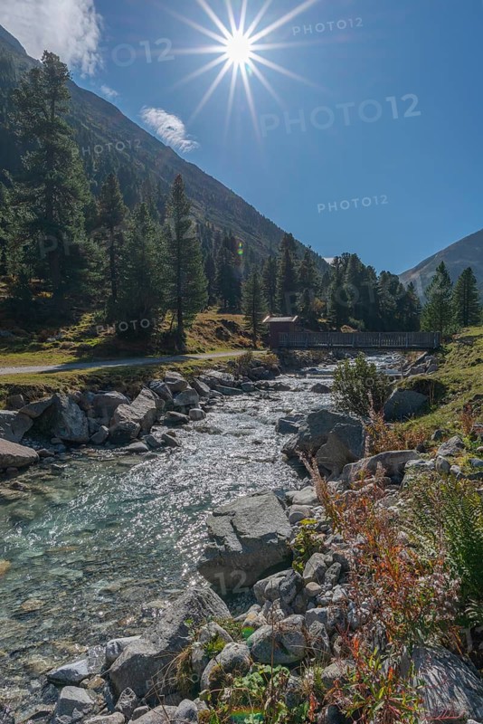 Wooden bridge over Zamser Bach in the valley Zamser Grund, Schlegeis, hiking trail, coniferous forest, rocks, backlight, blue sky, Zillertal Alps, Tyrol, Austria