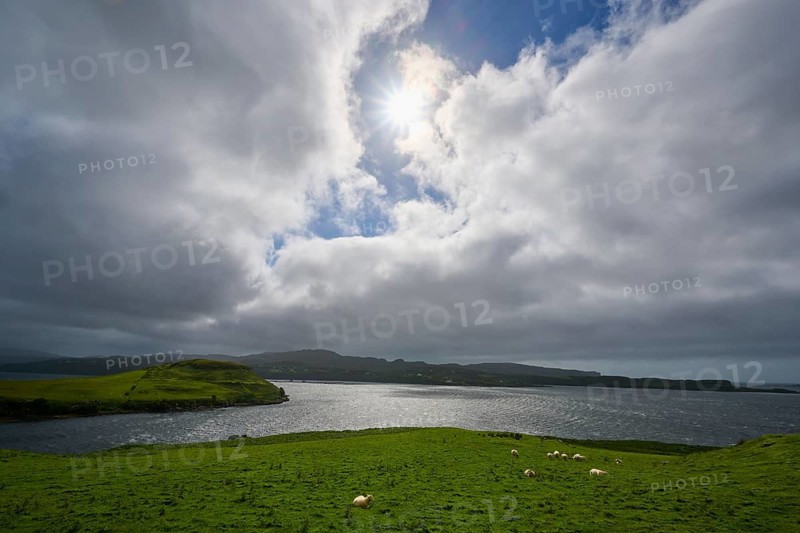 Landscape with sheep in green fields under clouds and sunshine, the sea in the background, Isle of Skye, Scotland, United Kingdom, Great Britain