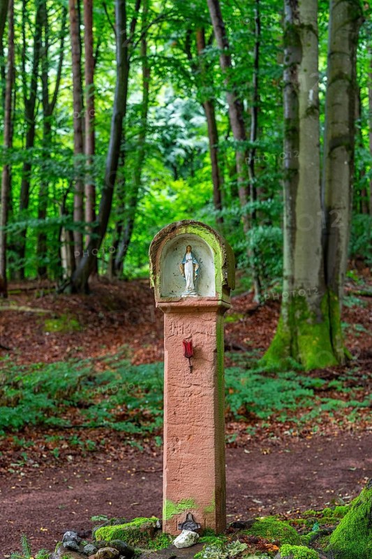 Red sandstone wayside shrine with small Madonna under beech trees, Gailbach, Aschaffenburg, Spessart, Lower Franconia, Bavaria, Germany