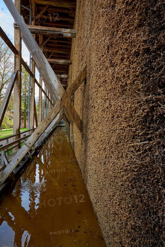Wood structure with water along a grading wall, graduation house, spa town of Bad Orb, Spessart nature park Park, Main Kinzig district, Hesse, Germany