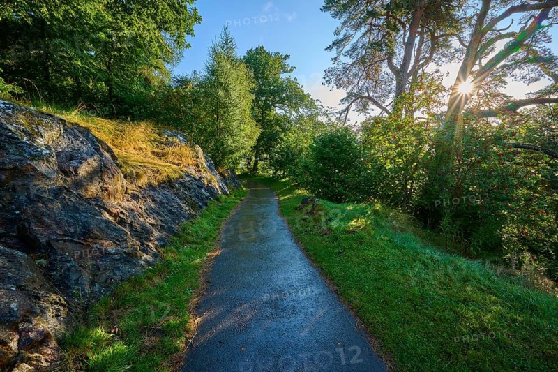A forest trail runs along rocks surrounded by green trees as the sun shines through the leaves, Queens View, Fincastle, Pitlochry, Scotland, United Kingdom, Great Britain