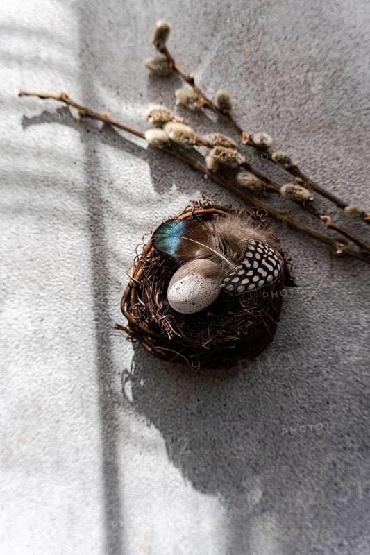 Top view of a small, artisanal nest containing eggs adorned with vibrant feathers, accompanied by pussy willow branches on a textured grey background, capturing the spirit of the Easter holiday