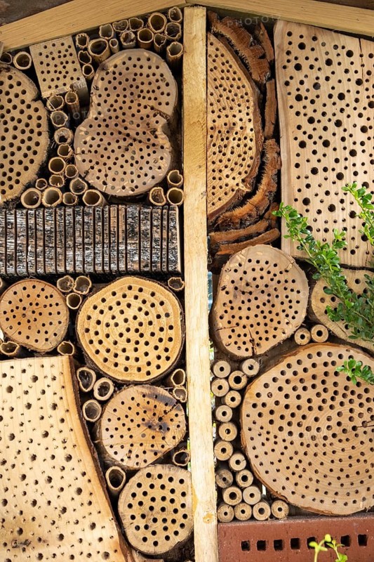 Close-up of an insect hotel with detailed wooden construction and drilled holes, Münsterland, North Rhine-Westphalia, Germany