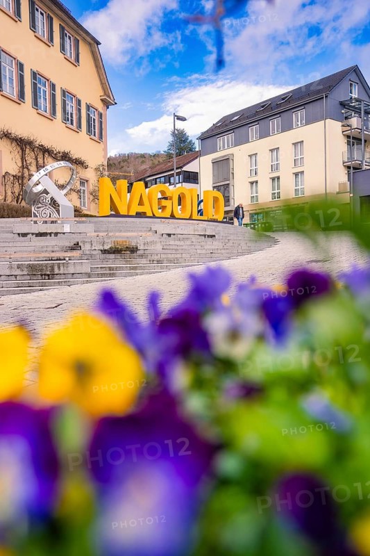 Colourful flowers with a view of the Nagold logo and buildings behind it, Nagold, Calw district, Germany