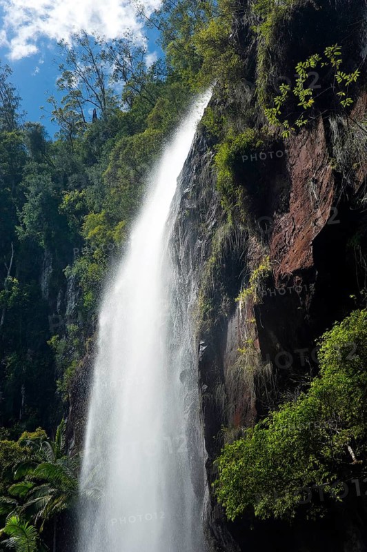 Protesters falls, waterfall, water, fresh, nature, environment, Nightcap National Park, Queensland, Australia