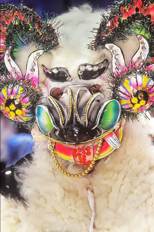 Man wearing carnival costume, Oruro Carnival, Oruro, Bolivia, South America