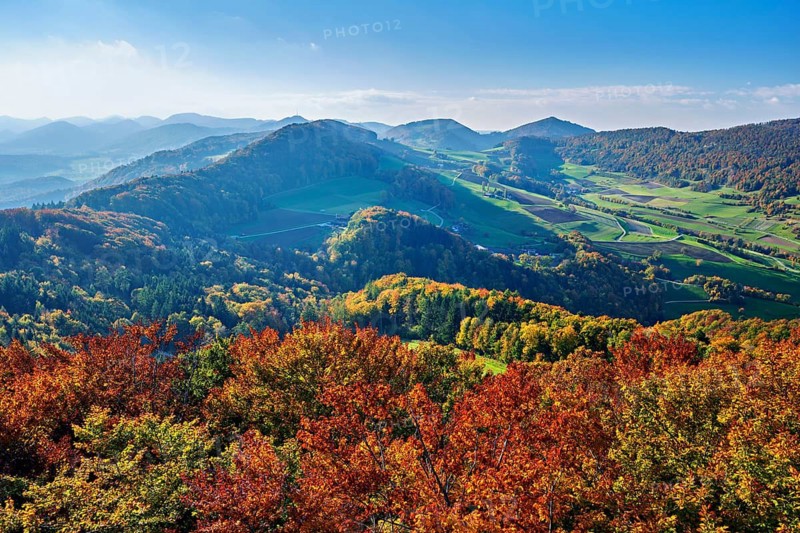 View of an autumnal forest from the Gisliflue, behind the Jura foothills with Wasserfluh and Strihen, Talheim, Canton, Aargau, Switzerland