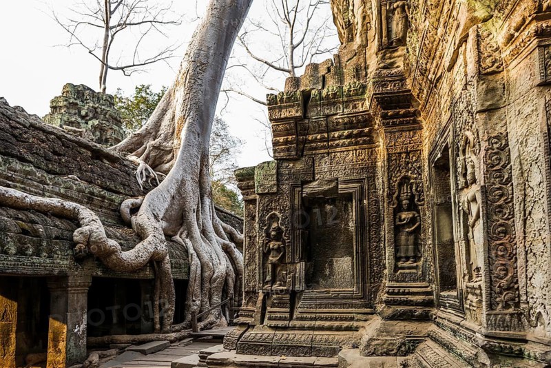 Ta Prohm, Angkor Wat, Angkor, UNESCO World Heritage Site, Siem Reap, Cambodia, Indochina, Southeast Asia