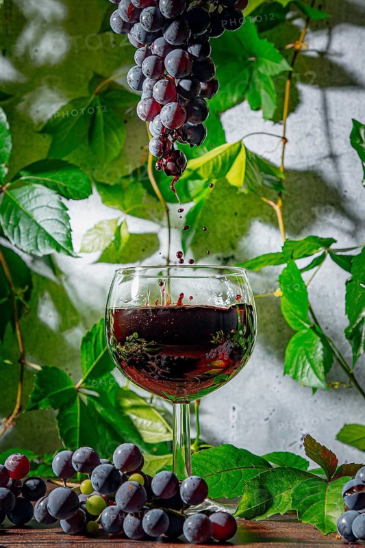 Grape vine (Vitis vinifera), drops of wine falling into a wine glass