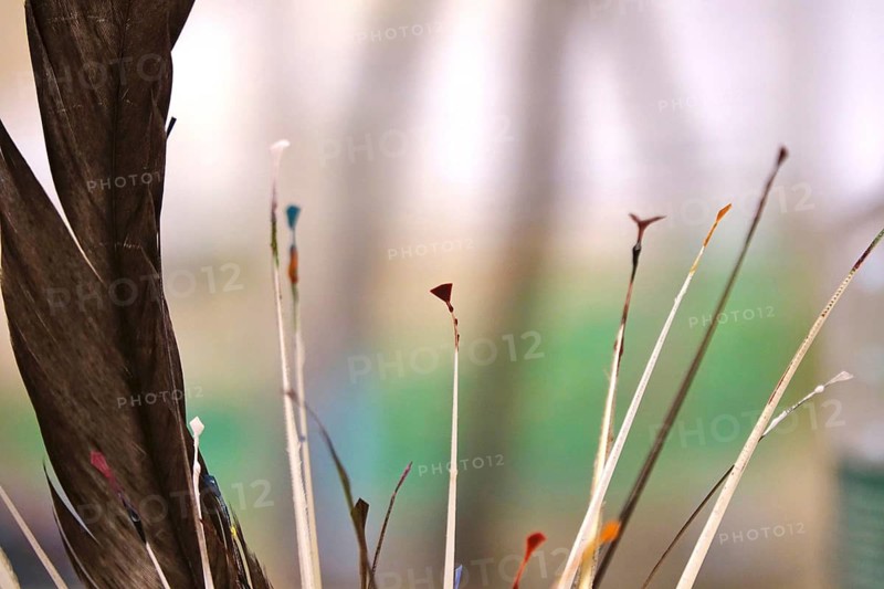 Easter, Sorbian customs, goose quills cut into various shapes for bossing techniques, handicrafts, Saxony, Germany