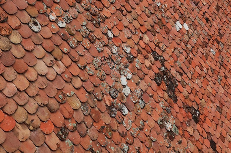 Old roof covering, beaver tail-shaped tiles, partly already weathered or with growth of lichens and mosses