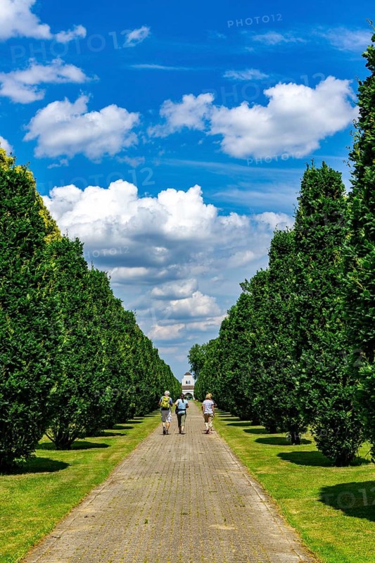The main cemetery, in MH-Menden, in Mülheim an der Ruhr, North Rhine-Westphalia, Germany