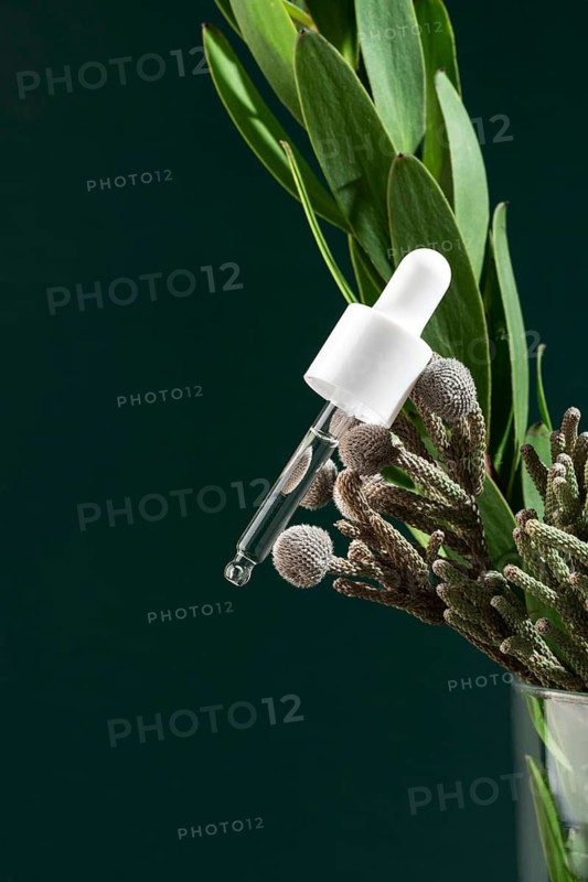 A close-up image of a pipette bottle filled with transparent micellar water, placed alongside fresh green leaves and soft, texture-rich plant elements against a dark green backdrop