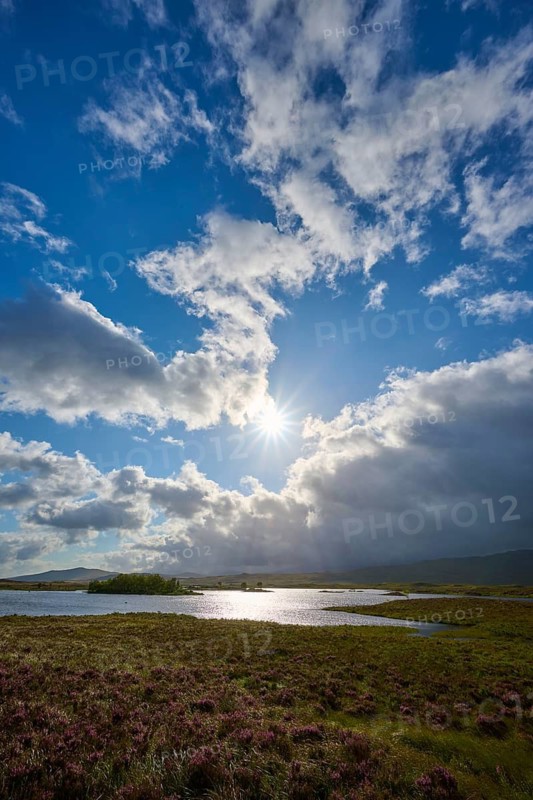 Natural landscape with clouds in front of the sun and river in the foreground, Rannoch Moor, Bridge of Orchy, Scotland, United Kingdom, Great Britain