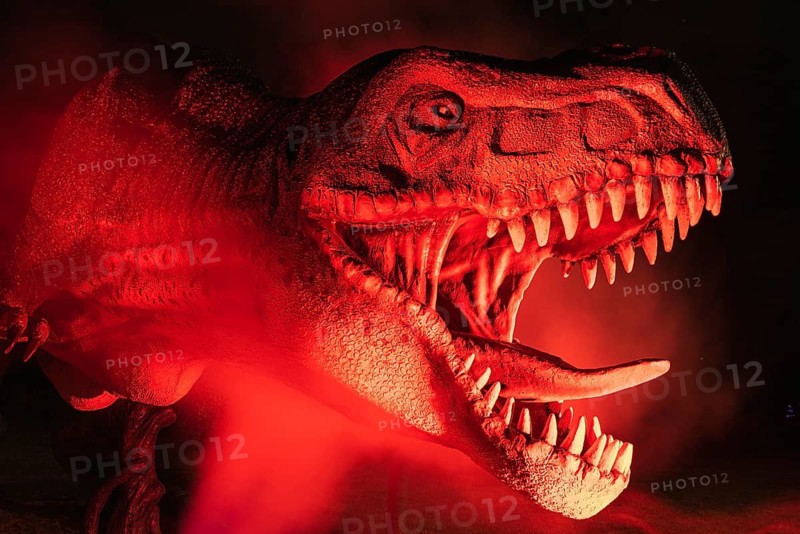LUBIN, POLAND - AUGUST 15, 2020 - lluminated realistic model of dinosaur Tyranosaurus Rex in Park Wroclawski during Museum Night