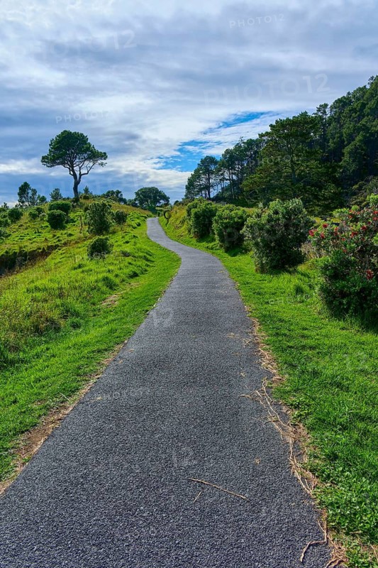 A tarmac path leads through a green and hilly landscape under a partly cloudy sky, Cathedral Cove, Hahei, Coromandel Peninsula, North Island, New Zealand