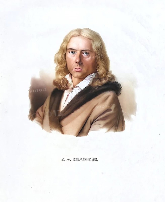 Adelbert von Chamisso (born 30 January 1781 as Louis Charles Adelaïde de Chamissot de Boncourt at Boncourt Castle near Ante, Châlons-en-Champagne, France, died 21 August 1838 in Berlin) was a German naturalist and poet of French origin, Historic, digitally restored reproduction from a 19th century original, Record date not stated