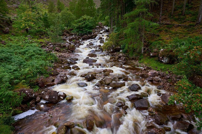 The stream flows quickly over rocks through a thick forest, Scotland, United Kingdom, Great Britain