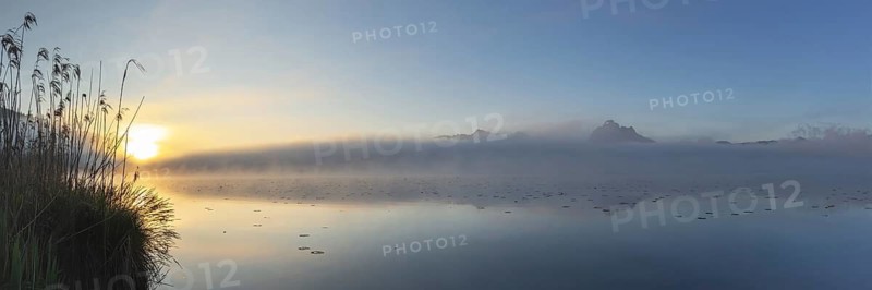 Sunrise at Lake Hopfensee near Füssen, with the Tegelberg massif and the Säuling behind it, Ostallgäu, Allgäu, Upper Swabia, Swabia, Bavaria, Germany