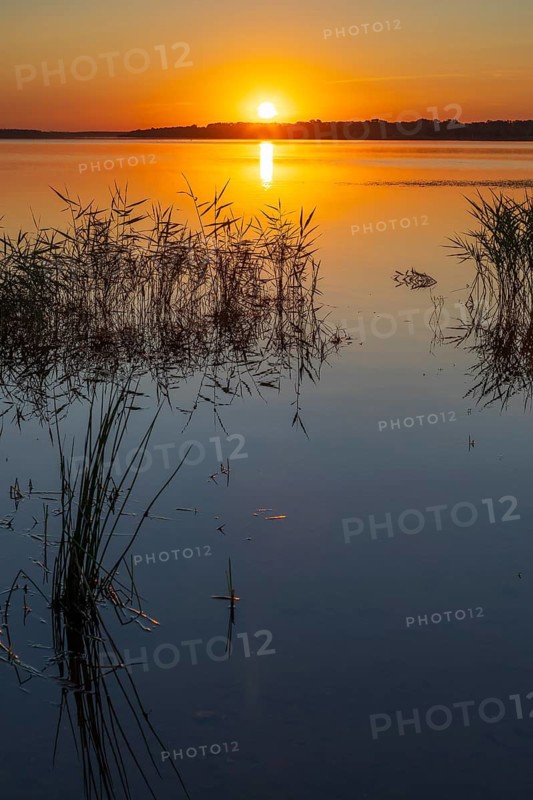 Sunrise at Lake Zwenkau, Leipziger Neuseenland, Saxony, . Germany