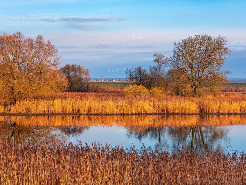 Natural floodplain landscape with a small lake in the Elbaue on the former inner-German border, in the back the town of Schnackenburg in Lower Saxony, Saxony-Anhalt, Germany