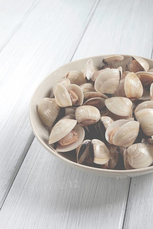Freshly frozen vongole clams, on a light plate, top view, no people