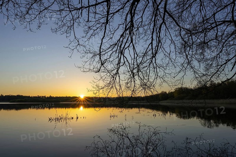 Sunrise at Ahlhorn fish ponds, Ahlhorn, Lower Saxony, Germany