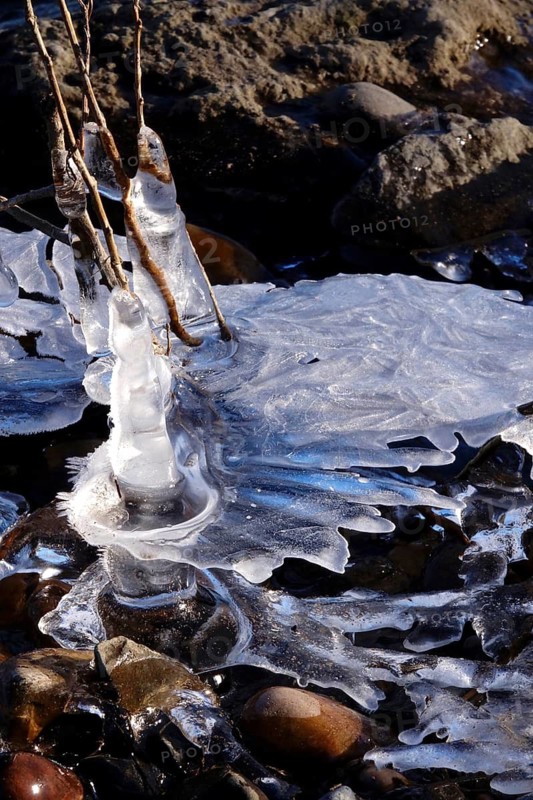 Ice on the banks of the Elbe, Winter, Dresden, Saxony, Germany