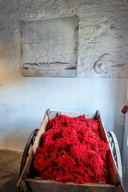 Bramsche, Lower Saxony, Germany, Red wool in an antique wheelbarrow in front of a wall with a sketch
