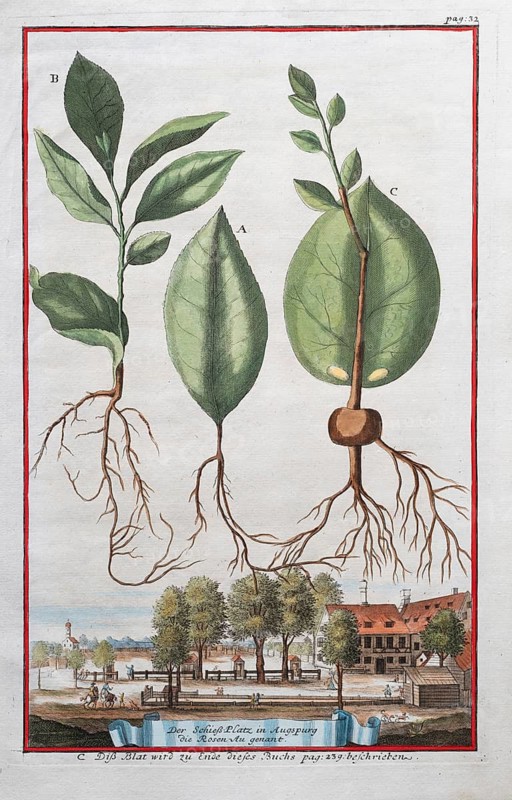 The shooting range in Augsburg, hand-coloured copperplate engraving or copper etching by Johann Christoph Volkamer or Volckamer, from Nürnbergische Hesperides oder gründliche Beschreibung der Edlen Citronat, Citronen, und Pomerantzen-Früchte, Nuremberg 1708, 1714