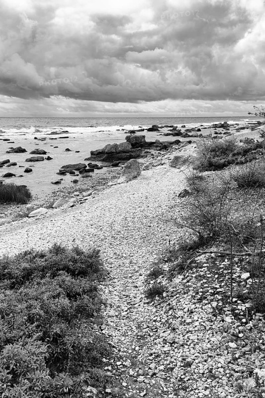 Hiking trail, rough rocky coastline, dramatic cloudy sky, film set, monochrome, Holmudden, Fårö island, Gotland, Baltic Sea, Sweden