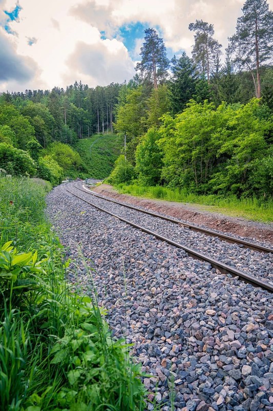 Tracks run through a green, wooded landscape. Mainly grass in the foreground, gravel along the track, track construction Hermann Hesse railway, Calw, Black Forest, Germany