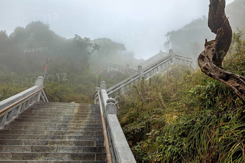 Stone steps leading through a dense forest in the fog, conveying a mysterious feeling, fog in the mountains of Fansipan near Sa Pa in Vietnam