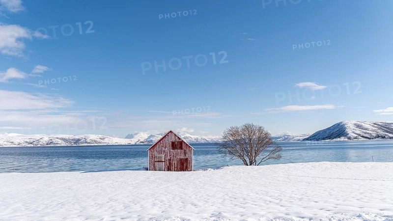 Idyllic winter scene in Botnhamn, Norway, featuring a solitary red barn and a barren tree against a stunning backdrop of snow, mountains, and a serene blue fjord