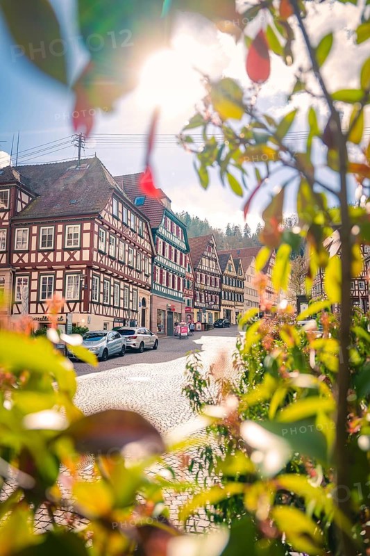 Sunny spring day in a street with half-timbered houses and leaves, Calw, Black Forest, Germany