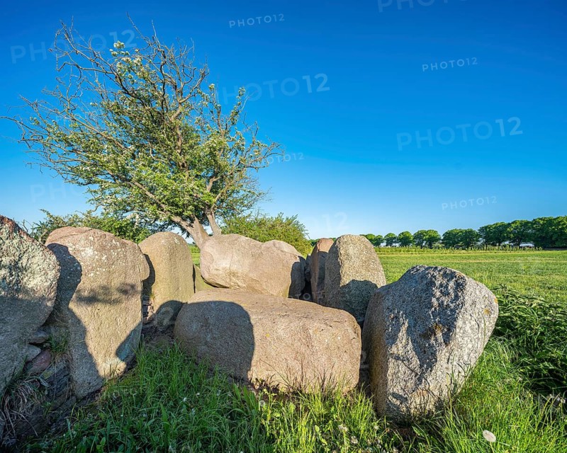 Field landscape with megalithic grave, dolmen, dolmen grave, Rerik, Mecklenburg-Western Pomerania, Germany