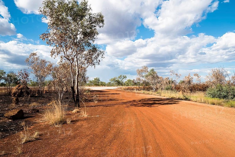 Australia, Australian continent, Western Australia, Elizabeth Highway, red sand, red soil, blue sky, trees, tree