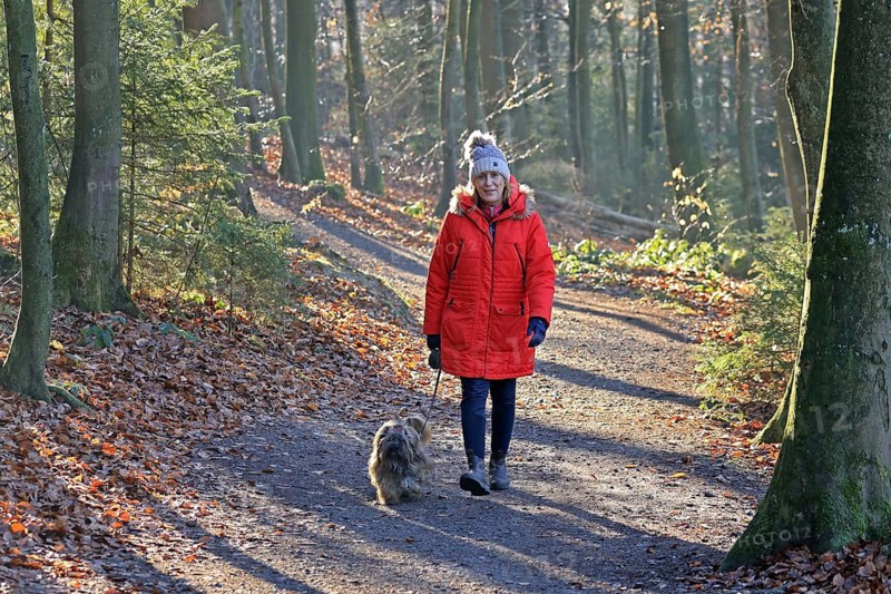 Woman walking through the winter forest with dog, back light